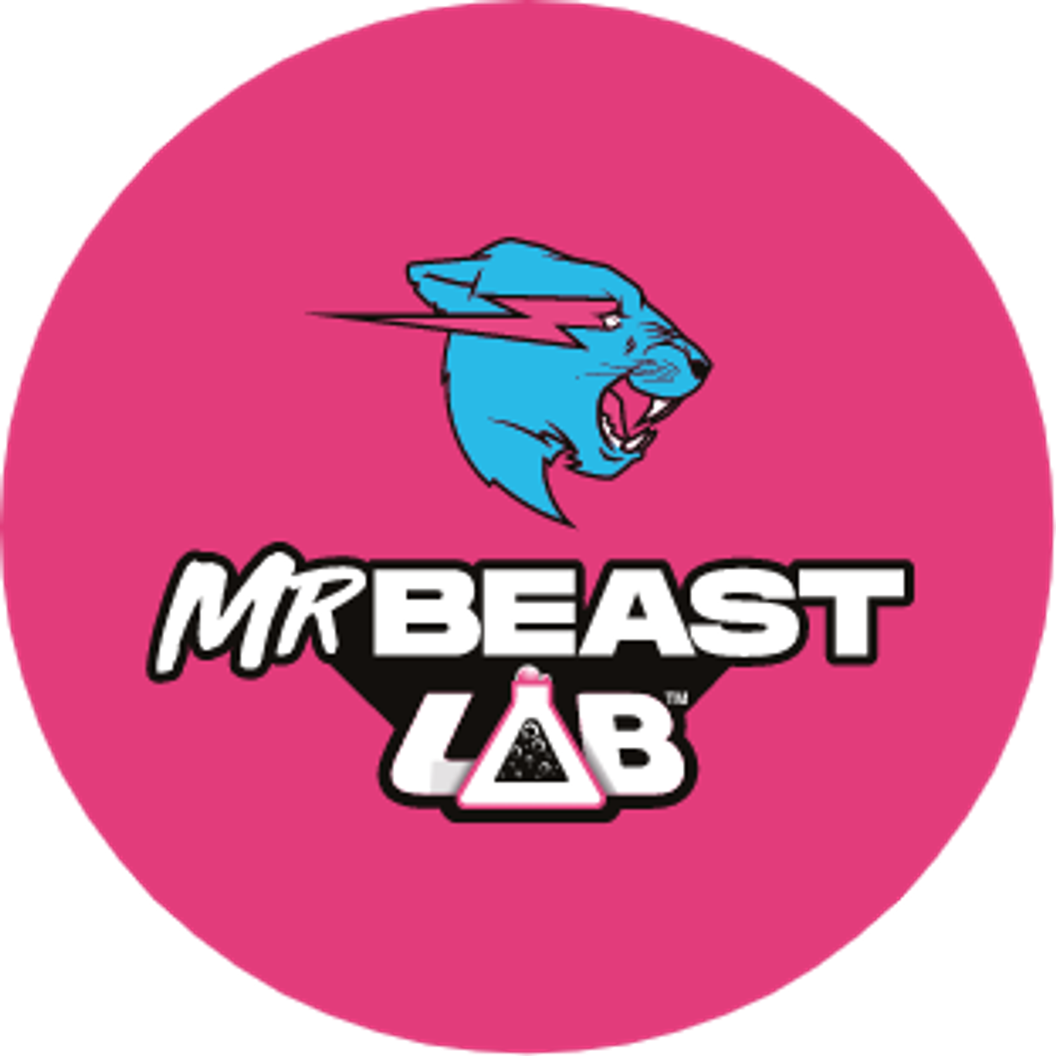 Mr Beast Lab